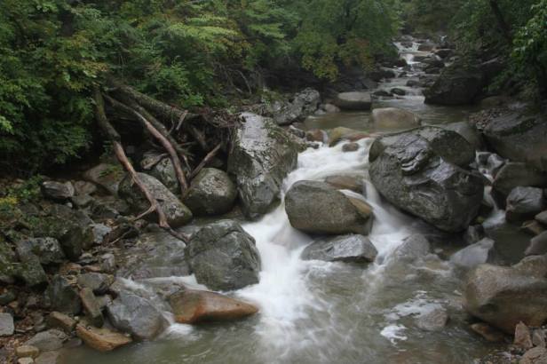 1391526_10151699741135949_649262380_n