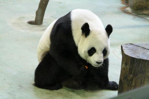 300189_10150318860695949_1973754991_n-2